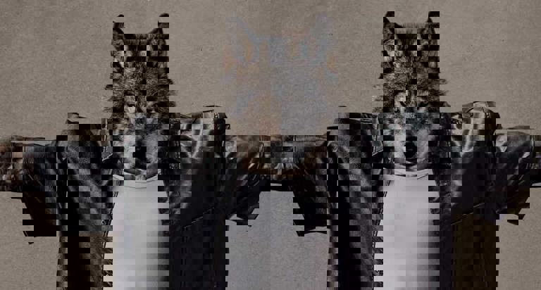 Kingpin Melbourne Activation