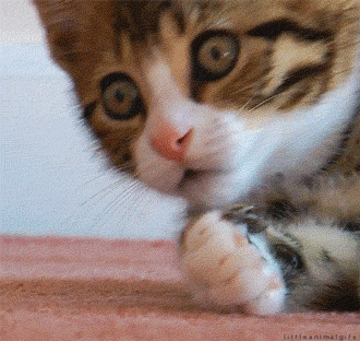 Shocked